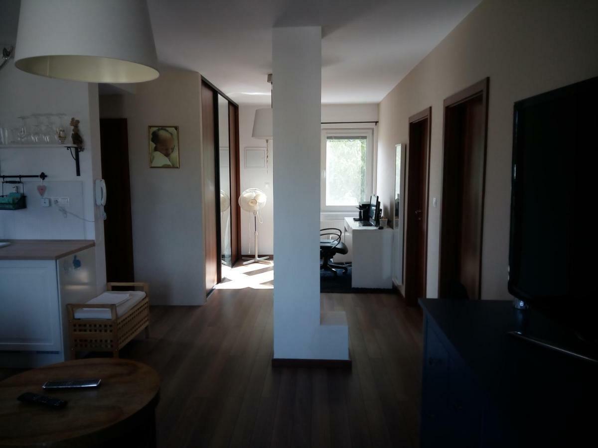 Walnut Apartment With Sauna And Pond Topolcany Exterior photo